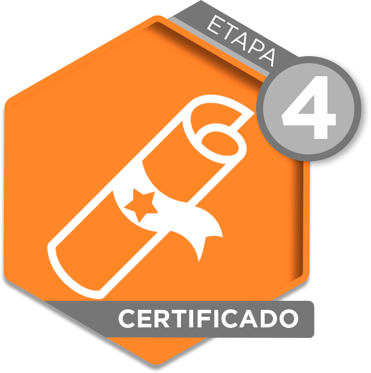 Etapa 4